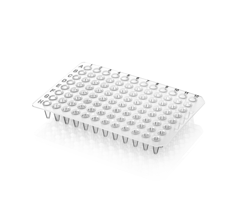 0.1ml96孔PCR板，无裙边 B20